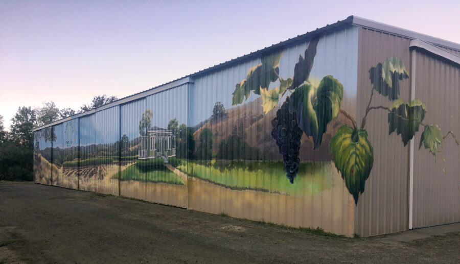 Metal Siding Mural with Wine Grapes