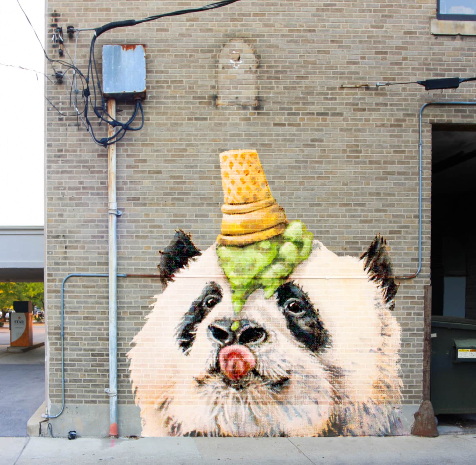 Tammy Davis Panda Concept on 127 W Berry St.192213