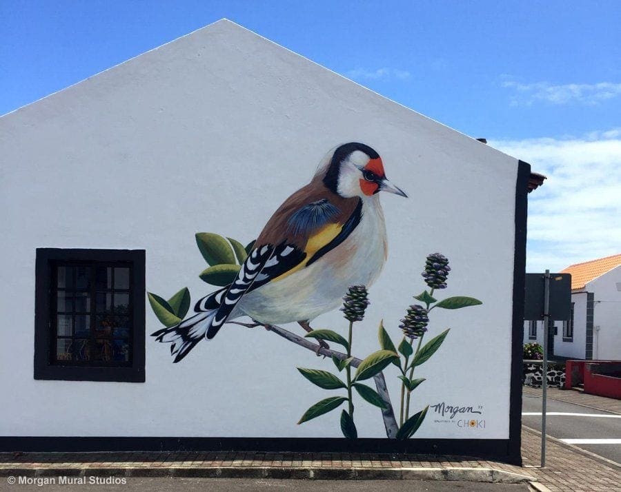 Azores Island Mural on Local Building