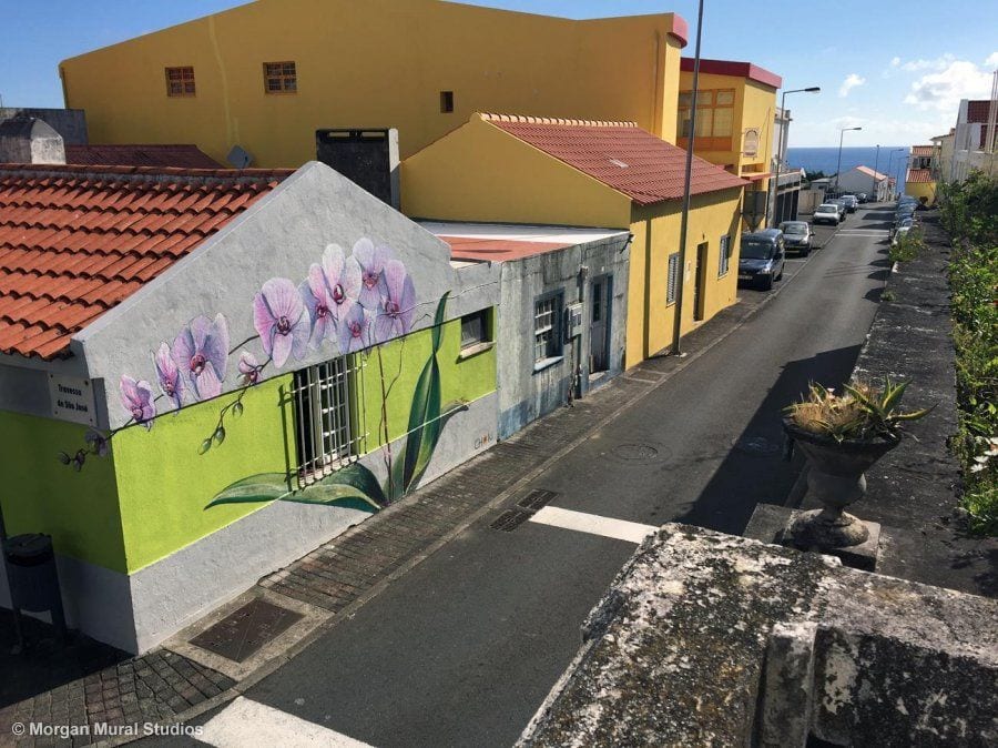 Giant Orchids Mural Painted on Building Exterior