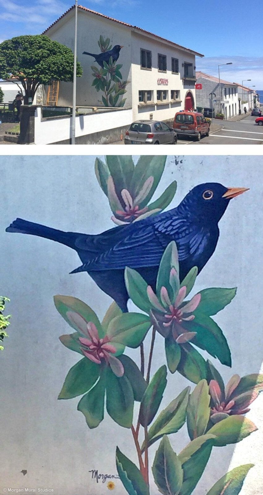 Coastal Town Mural Handpainted with Local Bird