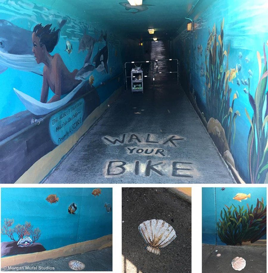 Ocean Mural with Surfer Girl and Tropical Fish for Public Art Project