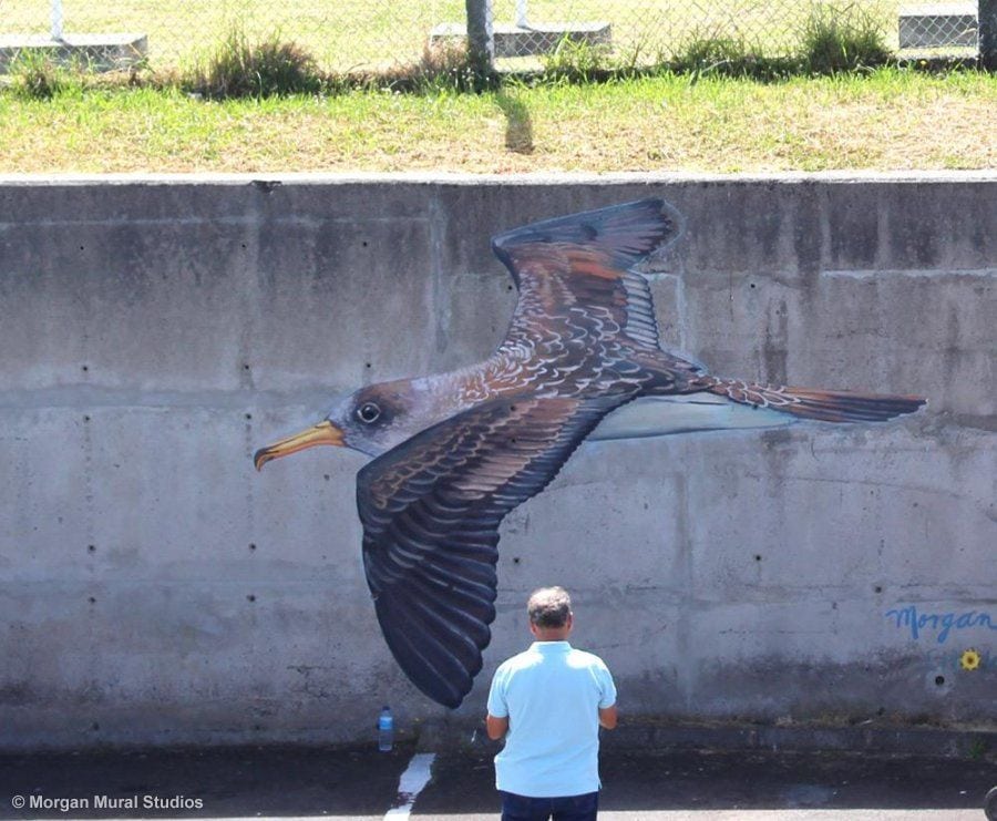 Larger Than Life Bird Mural Painting for Cement Wall