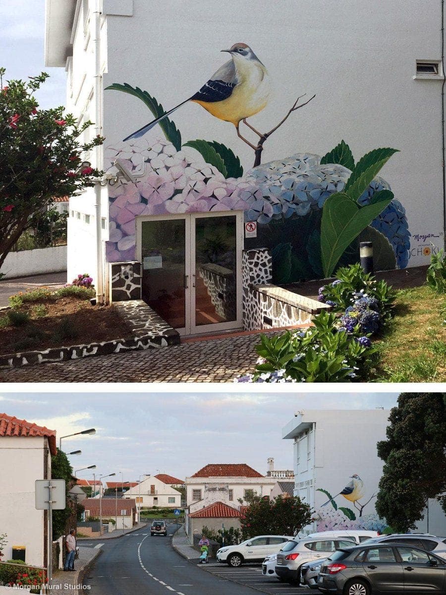 Nature Murals Painted by Muralist Morgan Bricca